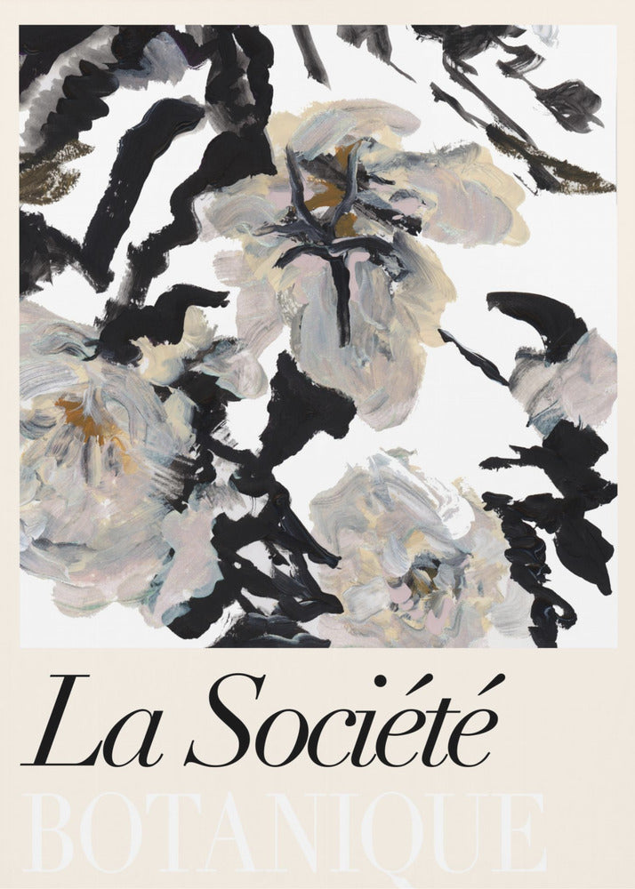 La Société Botanique Balck and White and Cream Flowers 2 | Poster