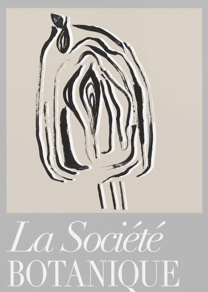 La Société Botanique Seed Pod | Canvas