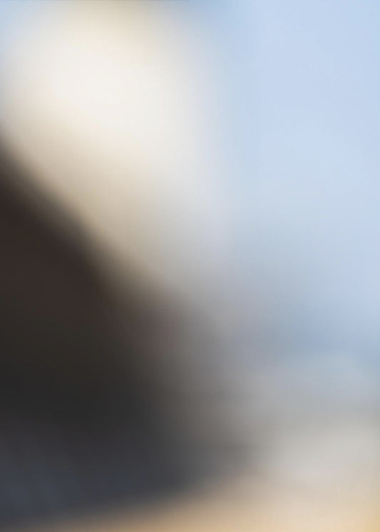 Blurred 7 | Canvas