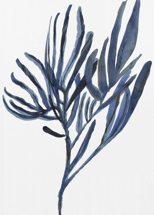 Blue Aquatic Plant Poster 2 | Poster