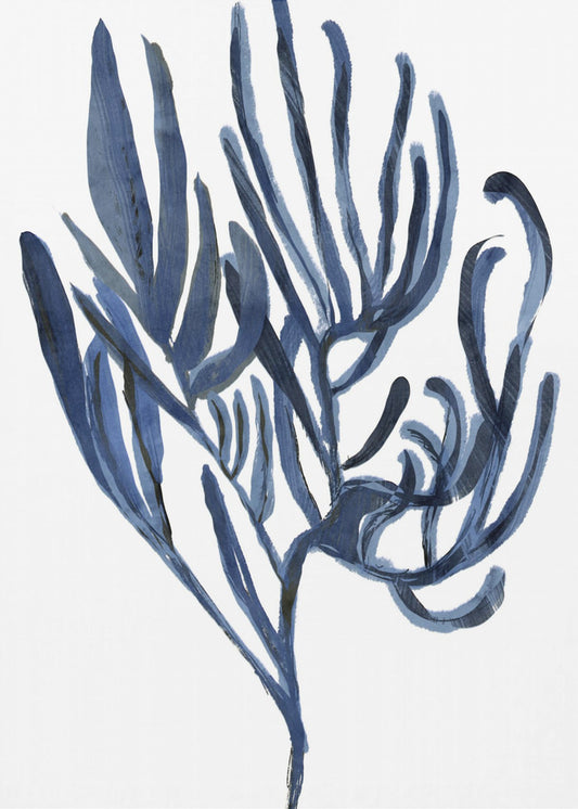 Blue Aquatic Plant Poster 3 | Poster