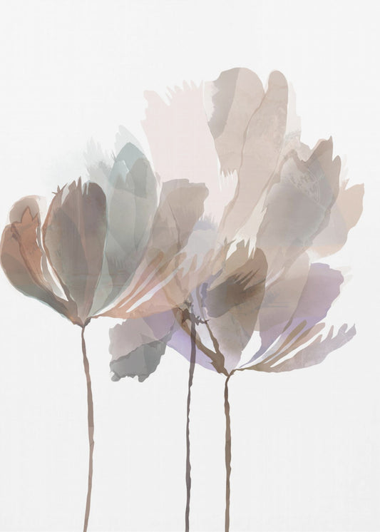 Blush Pink Flowers | Poster