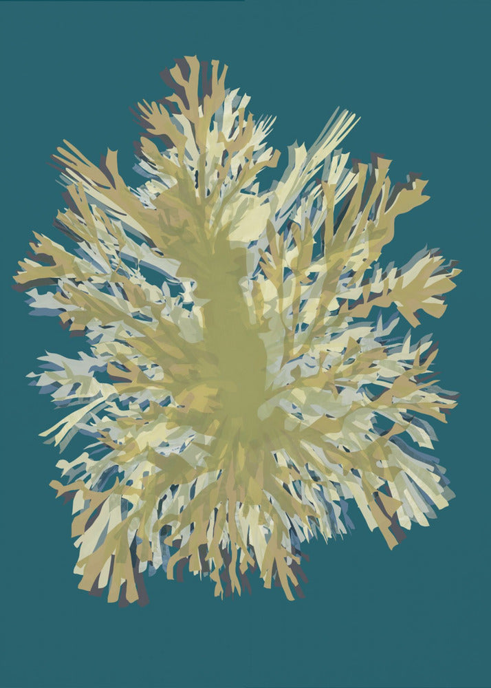 Seaweed  Poster 1 | Poster