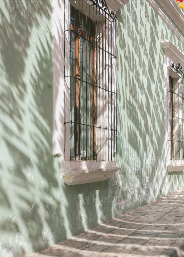 Greens of Oaxaca | Mexico travel photography | Canvas