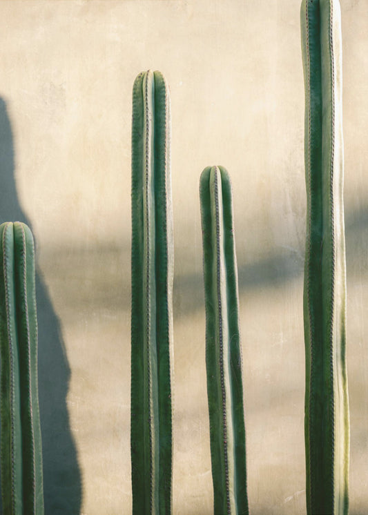 Oaxaca Shades of Green | Mexico travel photography | Poster