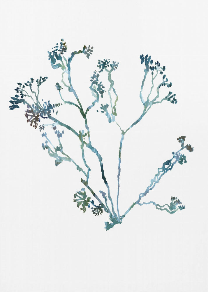 Delicate Blue Flowers 2 | Canvas