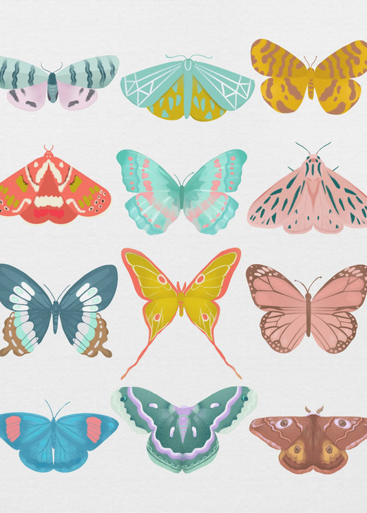 Butterfly | Canvas
