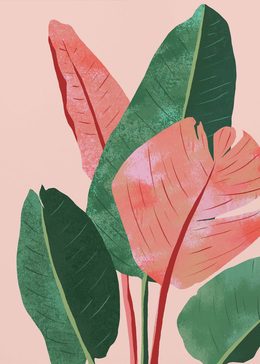 Blush Tropical | Canvas