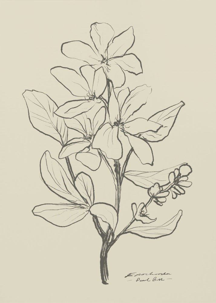 Floral 1 | Canvas