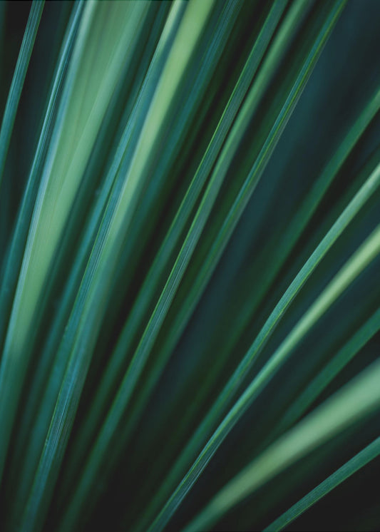 Green Straws 2 | Canvas