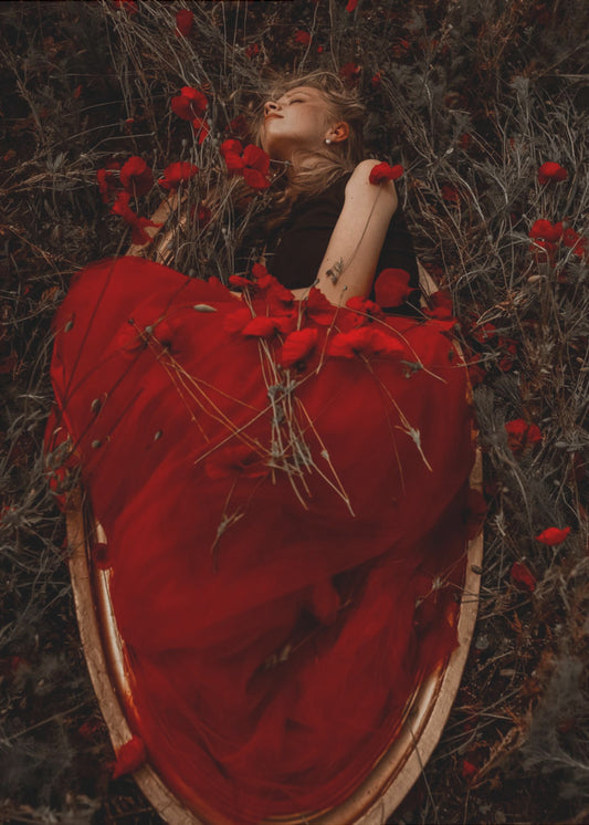 Framed in poppies | Poster