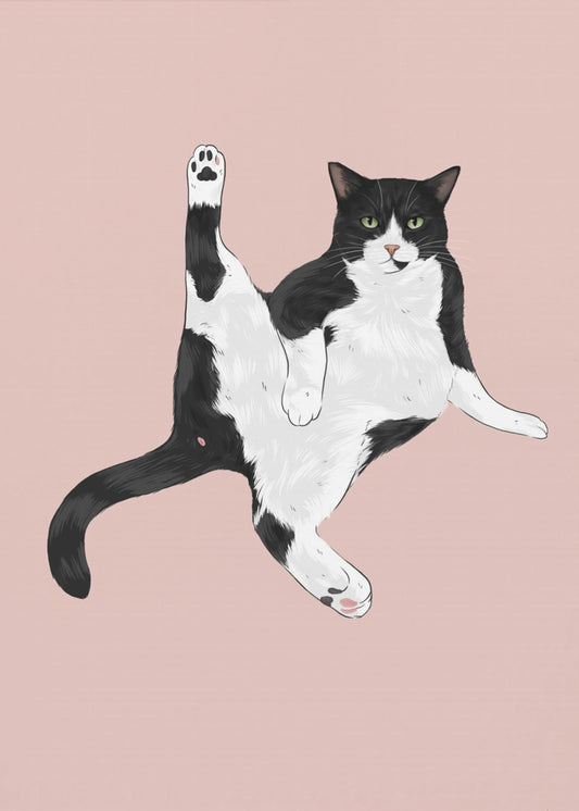 Cat In A Funny Pose | Poster