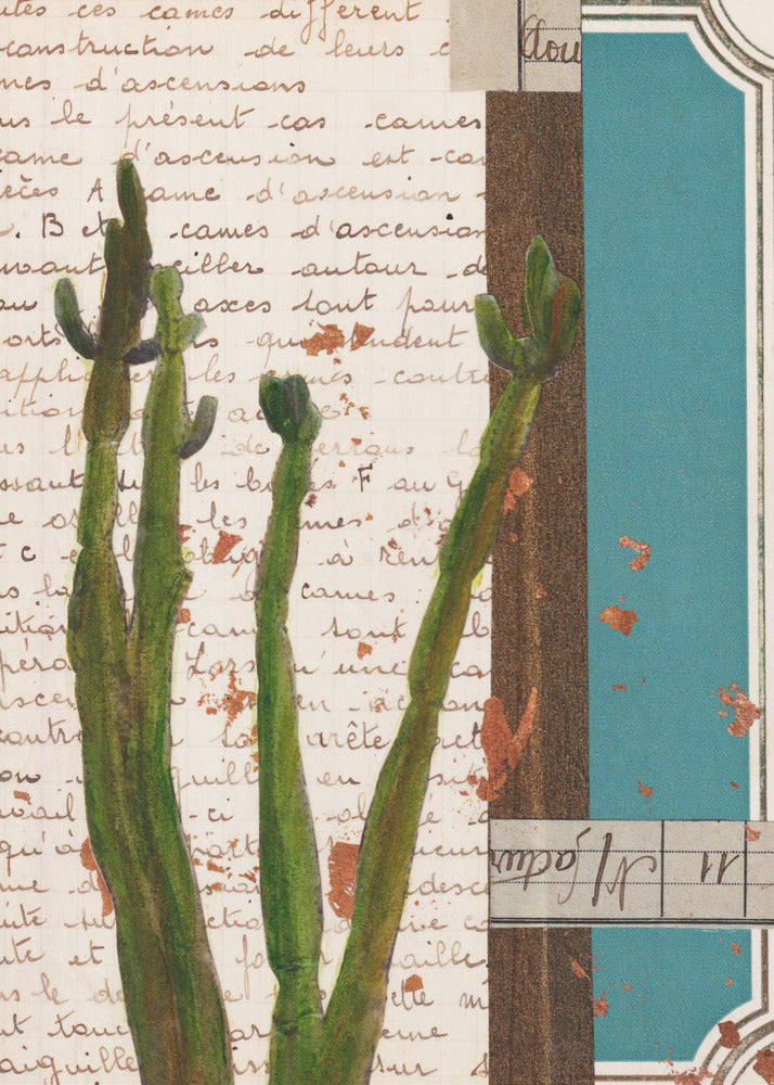 Cactus I | Poster