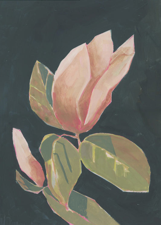 Magnolia in dark background | Poster