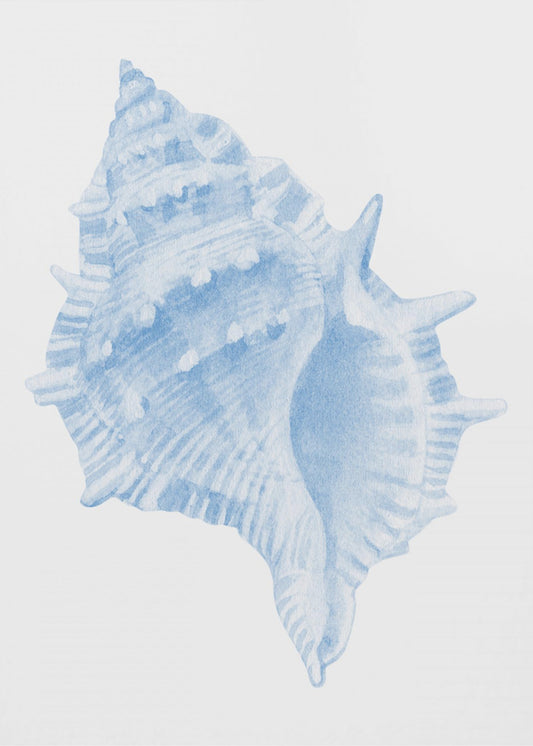 One Blue Conch | Canvas