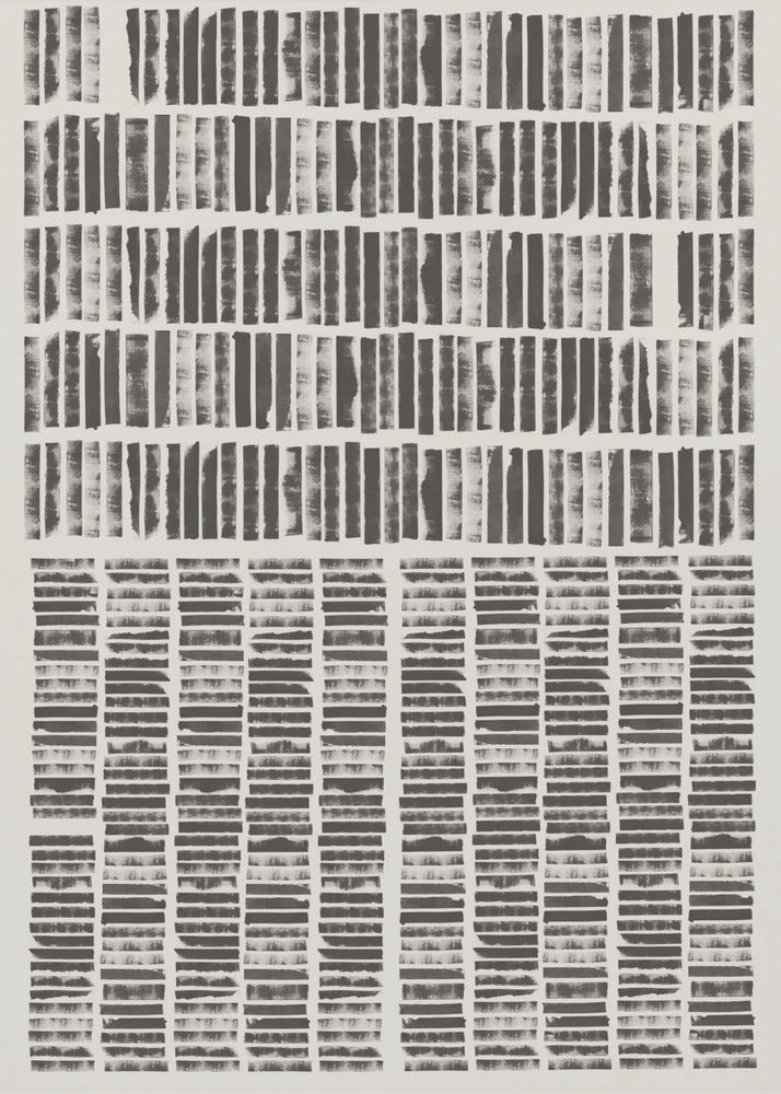 Monochrome Harmony | Poster