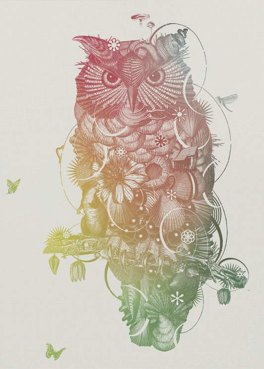 Owl | Canvas