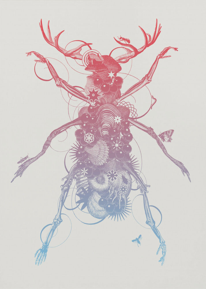 Beetle 2 | Canvas