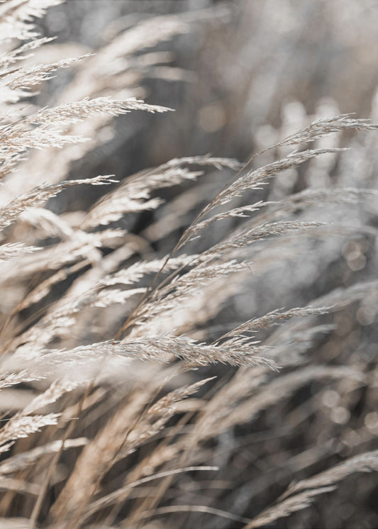 Grass 28 | Canvas