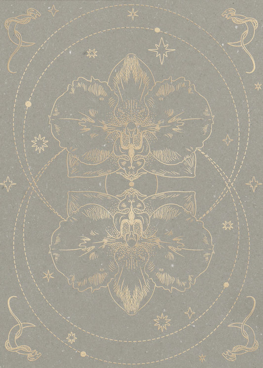 The mystical orchid | Poster
