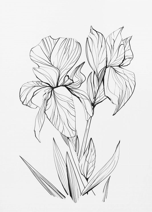 Irises | Canvas