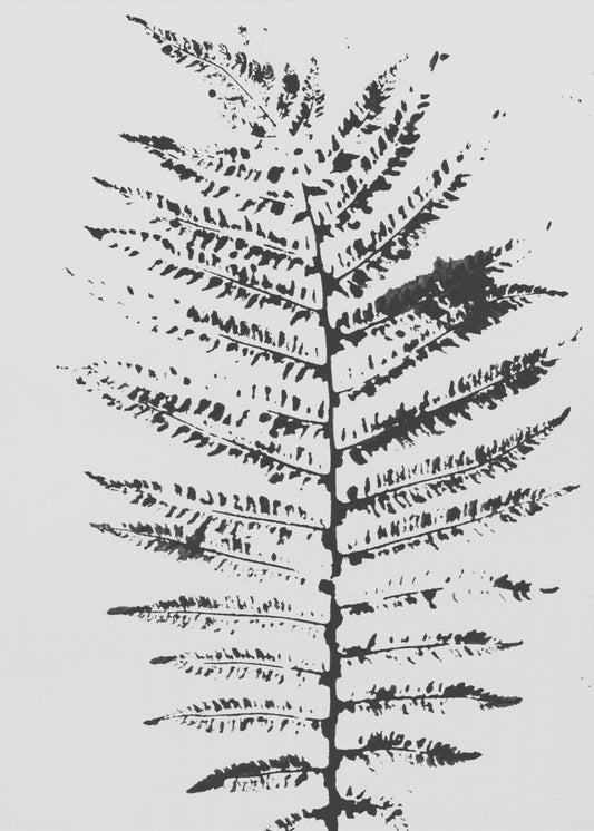 Ferns Iii | Canvas