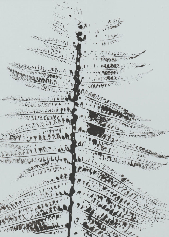 Ferns Ii | Canvas