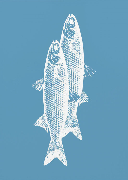 Pescados | Canvas