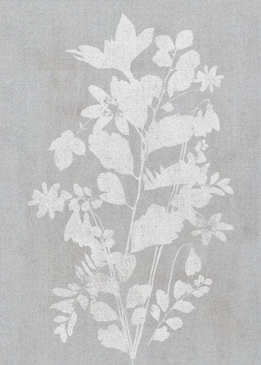 Botanical Illustration 2 | Canvas