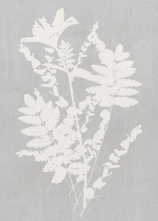 Botanical Illustration 5 | Canvas