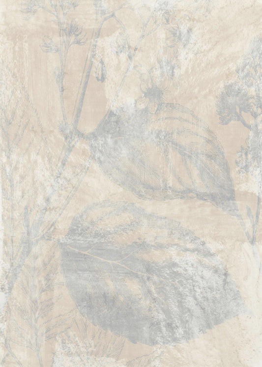 Woodsia 1 | Canvas