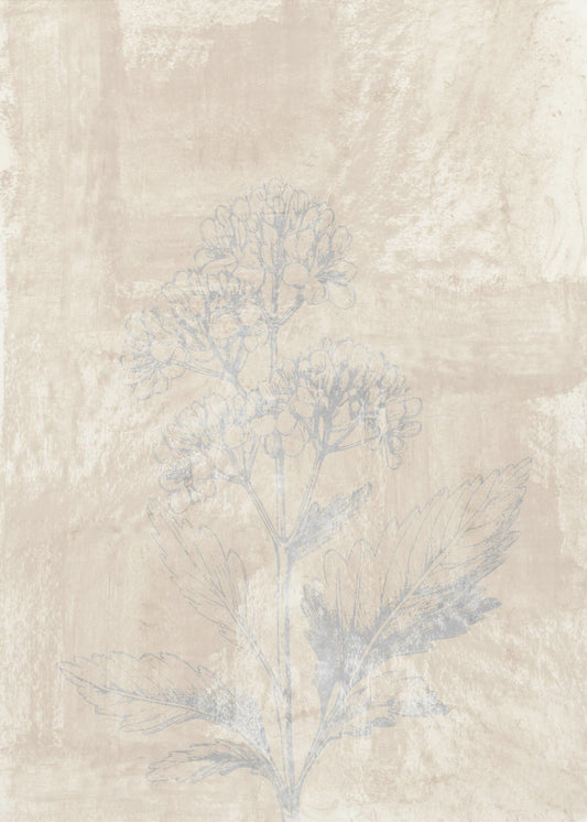 Woodsia 3 | Canvas