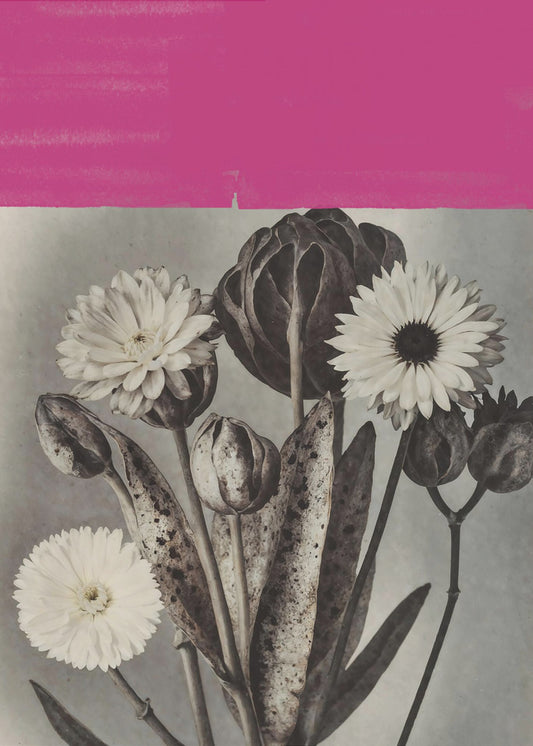 Vintage Flowers No.10 | Canvas
