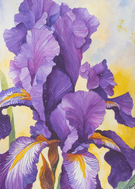Iris Watercolour | Poster