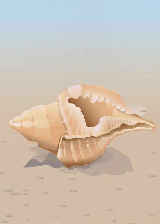 Seaside Shell | Poster