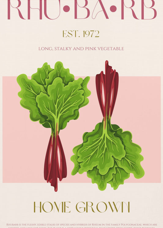 Illustrated Rhubarb With Vibrant Pink Stalks | Canvas