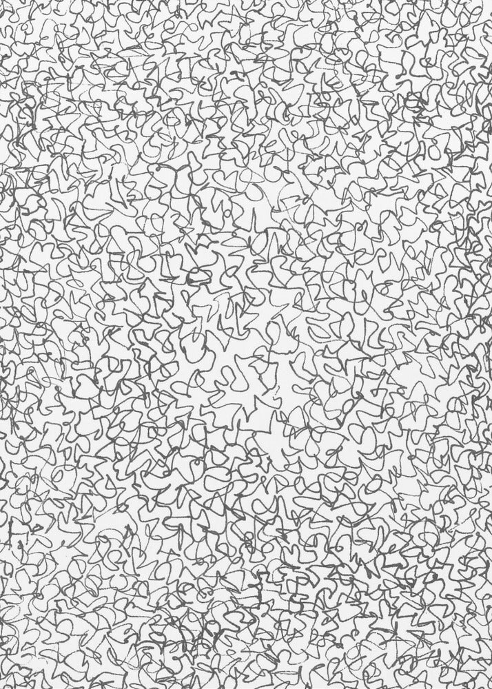 Chaotic Whirlwind | Poster