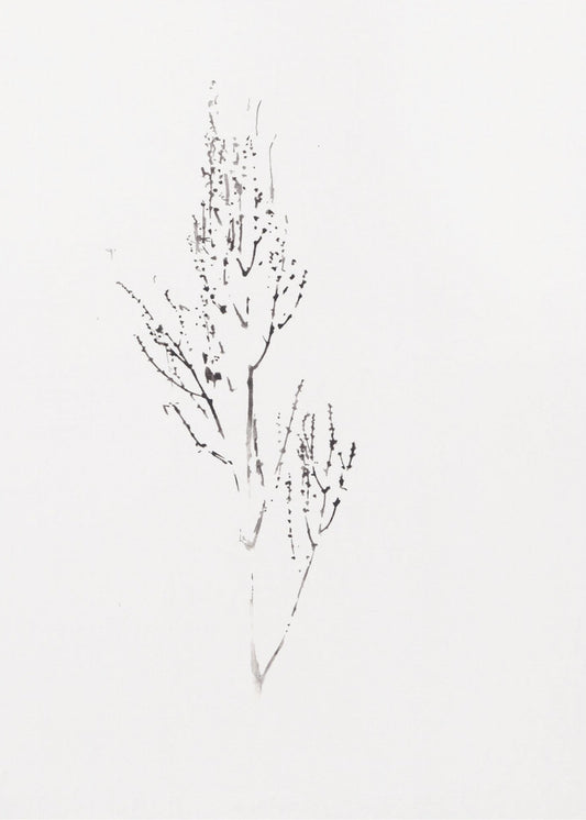 Plants | Canvas