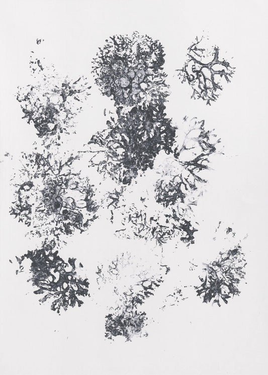 Plants II | Canvas