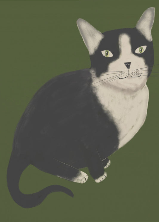 Mr Tuxedo Cat | Poster
