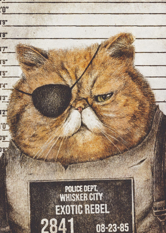 Funny Cat | Canvas