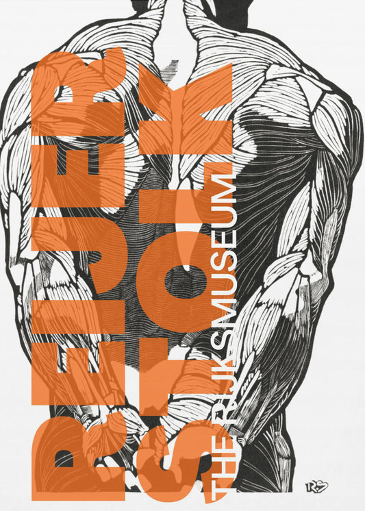 Anatomy Lines | Poster