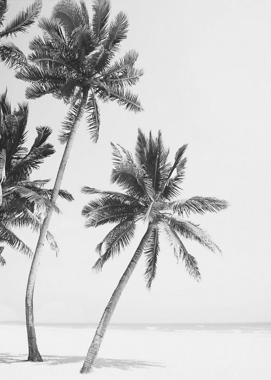 Island | Poster