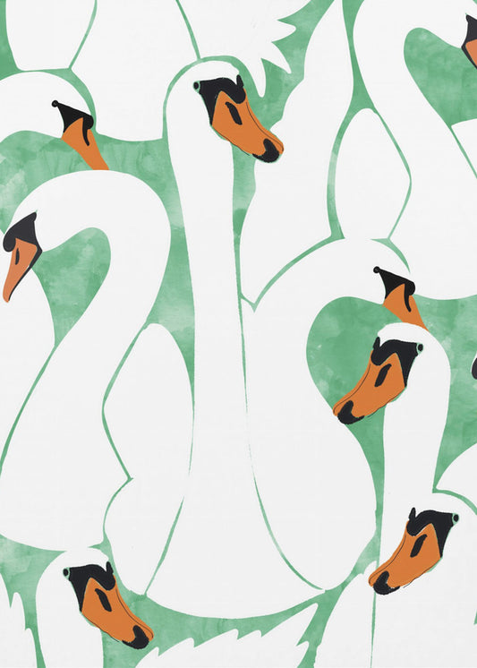 Graceful Swans | Poster