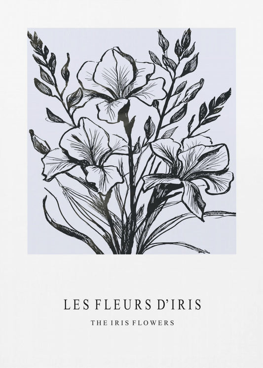 Iris Flowers In A Monochrome Illustration | Poster