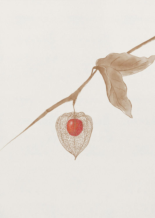 Groundcherry | Canvas