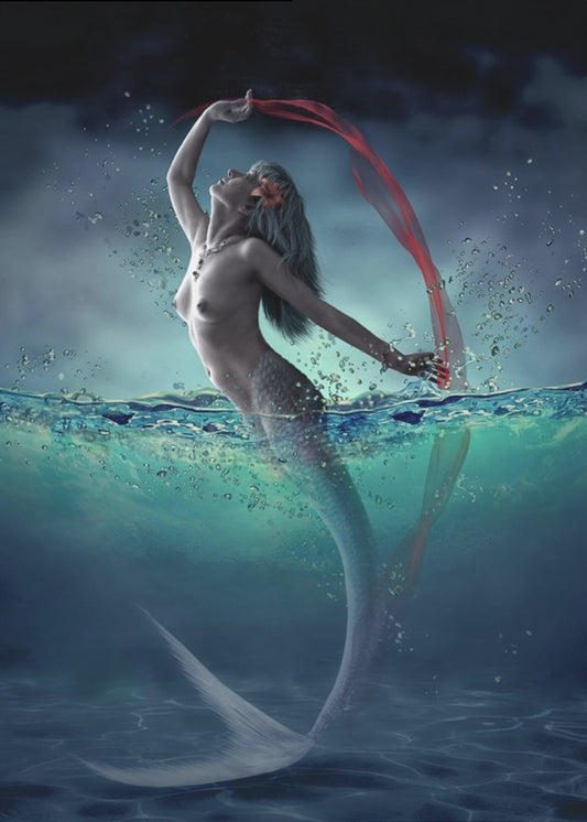 Ariel | Canvas