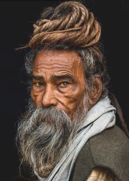 Portrait of a Sadhu... | Canvas