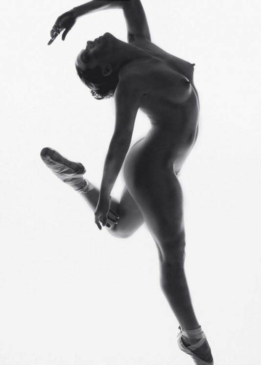 Fine Art Dance ... | Canvas