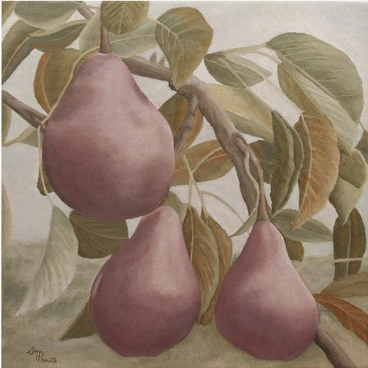 Max Red Bartlett Pears | Canvas